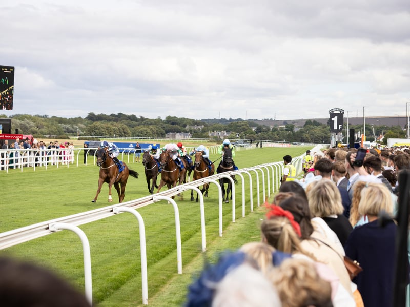 There were seven action-packed flat races throughout the day