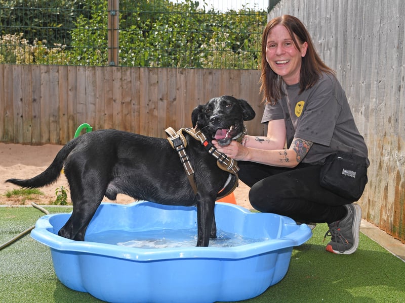 Billy, a Spaniel cross, got his turn in the paddling pool 