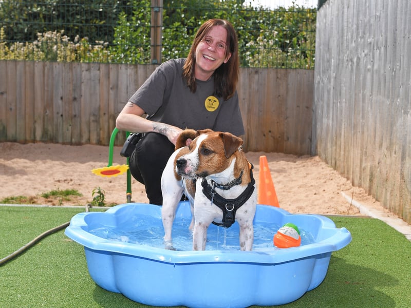 Amy Ross from Dogs Trust Leeds was on hand to make sure the pups stayed cool, happy and wagging their tails through the heatwave