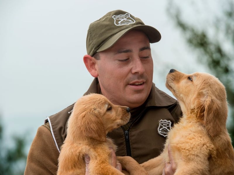 A Germanic name meaning 'soldier' or 'merciful', Milo claims third spot in our Golden Retriever name list. Milo was also the name of Stanley Ipkiss's dog in the film 'The Mask', starring Jim Carrey.