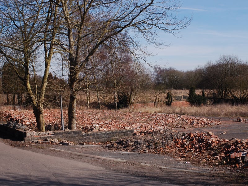 The end was inevitable. Just a sea of bricks were a reminder of what once had been. This picture was taken on March 16, 2010. 