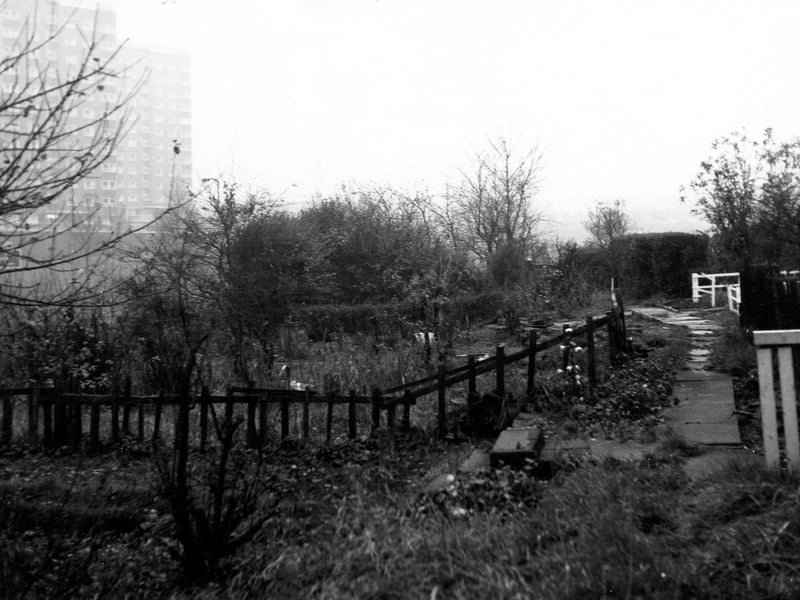 A view from the front gardens of houses on Sunnyside Road in December 1968. The block of high rise flats on the left is one of four blocks on the other side of the Ring Road and is called Rycroft Place. The flats were constructed in 1963 to a height of 36 metres on 12 floors.
