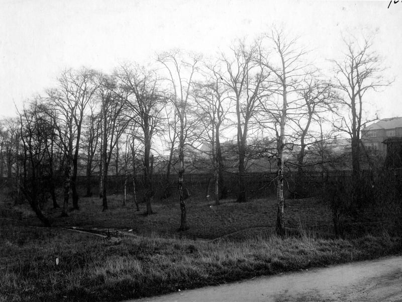 A woodland site which was being advertised for sale as a building plot at the time in November 1932. A large board on the right hand side of the image, up against the fence, could be a "for sale" sign. The line of Gipton Beck can be seen flowing past the trees. Roundhay Road is in the background with houses on Copgrove Road visible.