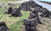 Stacks of footed turf stock image