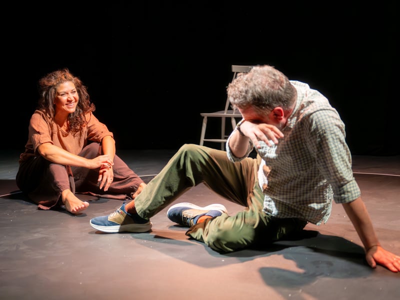 Supposing is another Scotsman Fringe First award winner, which follows Sally as a curse falls upon her house. In her five-star review of the show, Joyce McMillan said: ““If the Western world is currently living through the strangest of moments - a bizarre mix of the apocalyptic, the self-absorbed, and the frantically busy everyday - then no poet or theatre-maker captures that crisis, and its impact on women, more vividly than the brave and remarkable Zinnie Harris. Her latest play, Supposing, tells the tale of Sally is a middle-class wife, mother and manager in her 40s who one day falls into a hole in the street outside the local theatre, and emerges a changed woman. She is haunted by visions, premonitions, and a need to give warnings to those affected, The poetry of Harris’s writing gleams and hallucinates ever more brilliantly as the play unfolds, while every aspect of her own production comes together to support it. And when two new presences appear on stage, towards the end, it seems like a sign that the new world in which Sally now lives is full not only of horrors, but also of unexpected moments of beauty, as surprising as they are wonderful.” Supposing will be at Traverse 2, Traverse Theatre (Venue 15) until August 30. 
