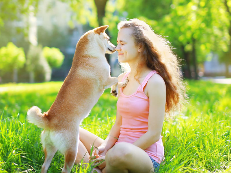 If you stop giving them attention, some dogs will nudge your hand or arm with their nose to encourage more petting or cuddles. This is their way of saying “Don’t stop!” A nudge can be playful, persistent, or gentle, depending on their personality. Responding positively to these nudges reassures them that their affection is reciprocated.