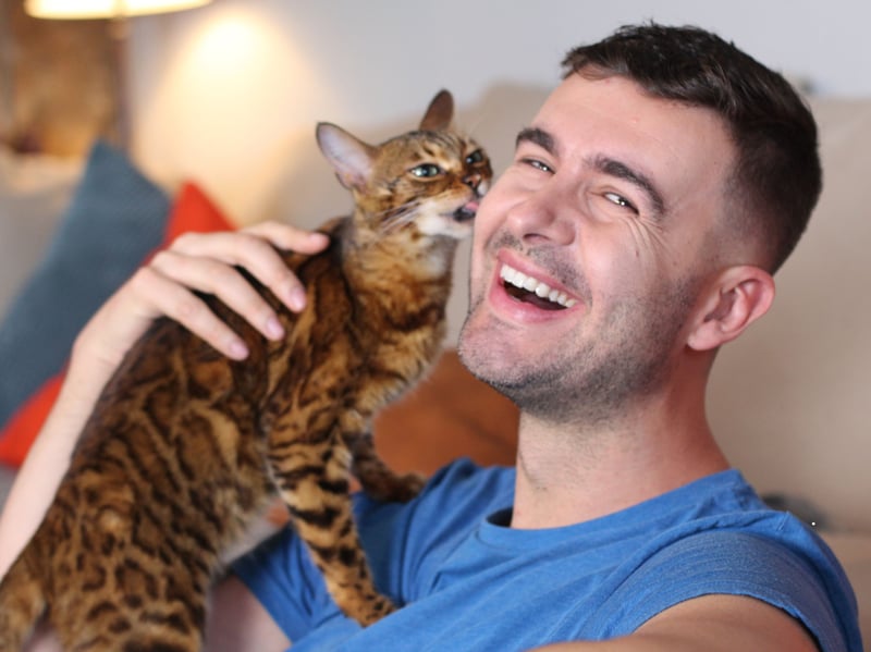 Cats living in bonded groups will greet one another by butting heads as a way of scent swapping, so a cat who does this to you is saying “hello friend”. A cat that rubs and head butts is a way of showing you that they see you as one of them.
