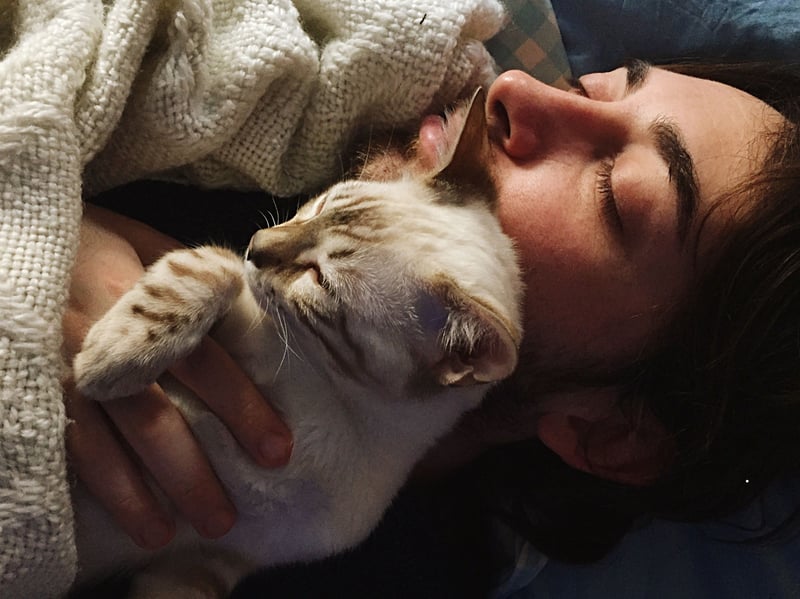 Sleeping is a cat's most vulnerable state. In the wild, they only sleep in places where they feel hidden and safe. So when a cat chooses to sleep near you—or even on you—it's their way of saying, "You make me feel secure." Any cat owner can agree that there's nothing more comforting than having a cat sleep peacefully on your lap. 