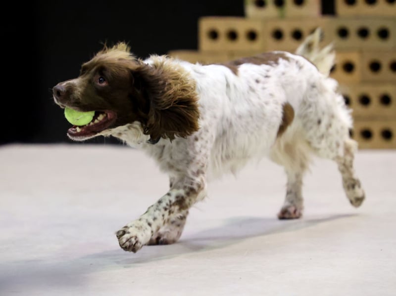 Molly takes seventh spot in our countdown. It's a form of the Hebrew name Mary, meaning 'star of the sea'.