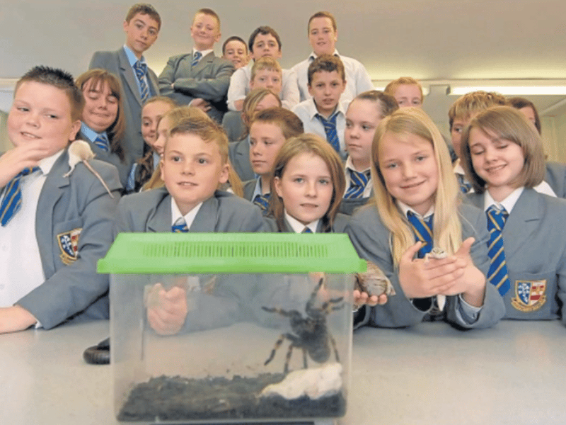 A spider and plenty more exotic creatures from Zoolab met the students at St Joseph’s RC Comprehensive in May 2007.