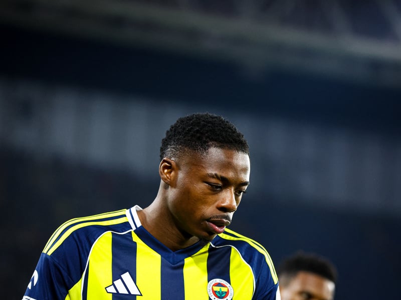 Fenerbahce - Norwich City (Loan).