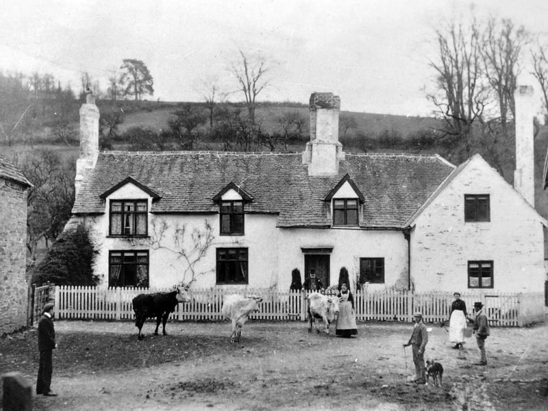 This wonderful old picture was unearthed years ago by Mrs Lillian Bradley, of Chelmarsh, when she was searching through some belongings of her late father, Richard Wellings, whose family came from the Deuxhill area. But neither she nor her daughter Eileen had any idea where the picture was taken, or who it featured.