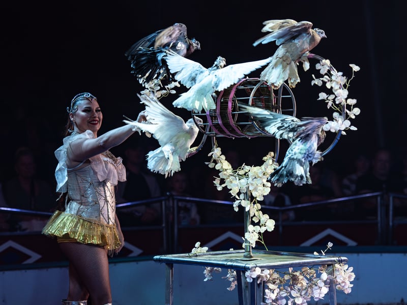 Miss Belen the bird lady. Circus Mondao is in Thornton  at the Norcross Car Boot Site until Sept 6th 2026. Photo: Lucinda Herbert