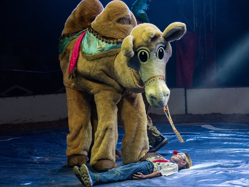A 'camel' with a young audience member. Circus Mondao is in Thornton Cleveleys at the Norcross Car Boot Site until Sept 6th 2026. Photo: Lucinda Herbert