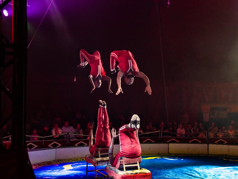 Adazian brothers perform some impressive acrobatics. Circus Mondao is in Thornton Cleveleys at the Norcross Car Boot Site until Sept 6th 2026. Photo: Lucinda Herbert