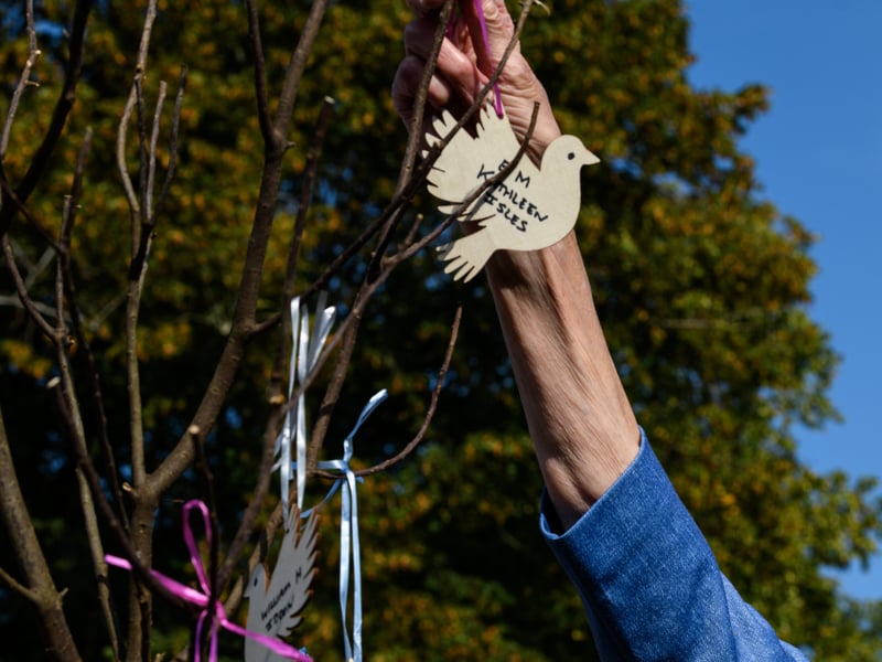 Doves bearing the name of those who died at the Freckleton Air Disaster are placed on a tree at Holy Trinity Church in remembrance. Photo: Kelvin Lister-Stuttard