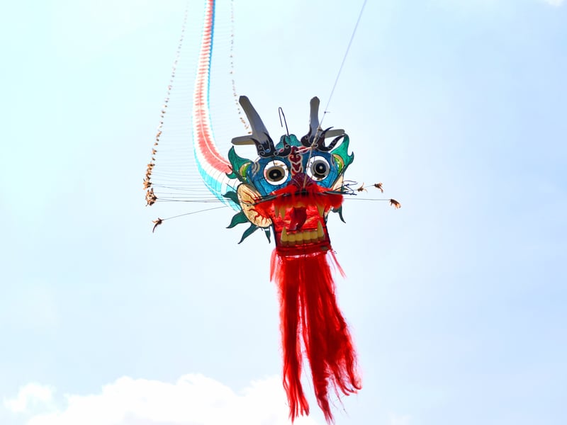A traditional dragon kite made from silk and bamboo on  full display at Lotherton Hall.