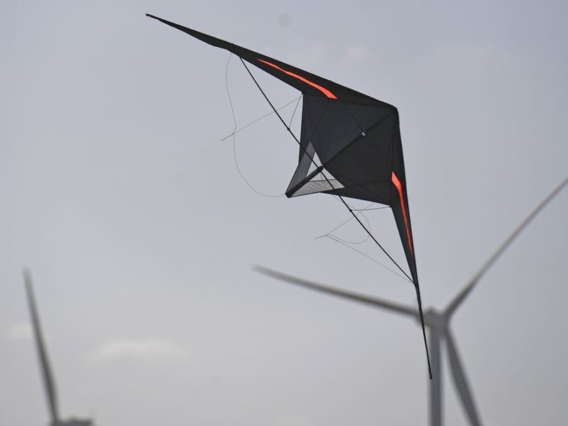 Kites in the sky.