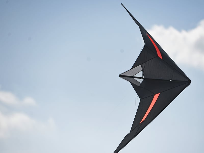 Kites in the sky.