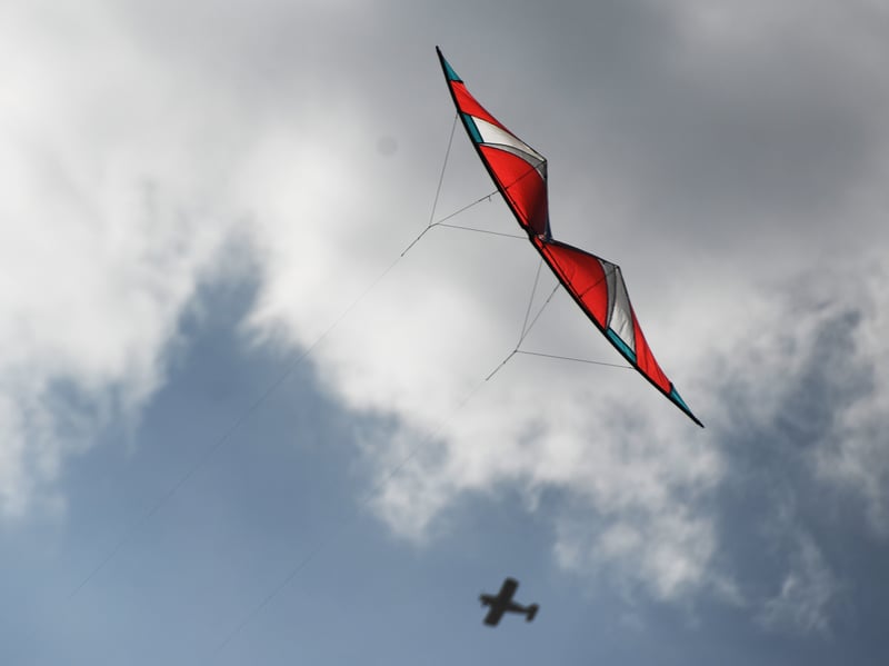 Kites on display in the sky.
