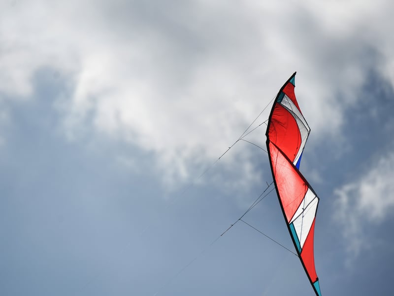 Kites in the sky at the festival.