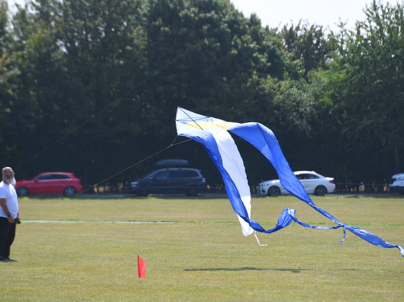 Kites at the festival.