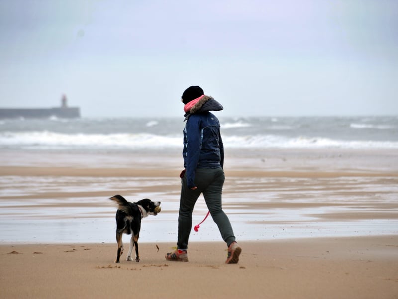 The weather was not great for a day out in 2018 bit this dog walker still braved the elements on Bank Holiday Monday at Sandhaven beach.