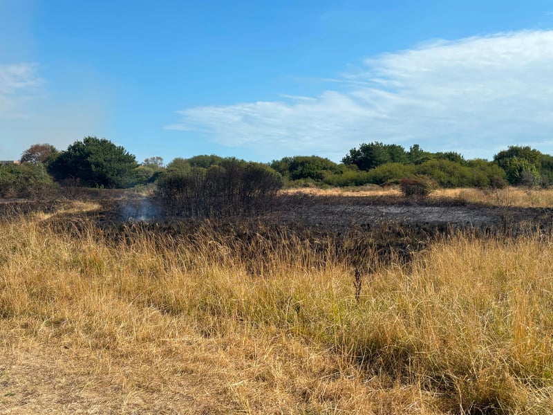 Pictures showing the aftermath of one of the Stokes Bay fires on the afternoon of August 25. Fire crews are extinguishing the flames, with the service informing police about the suspected arson.