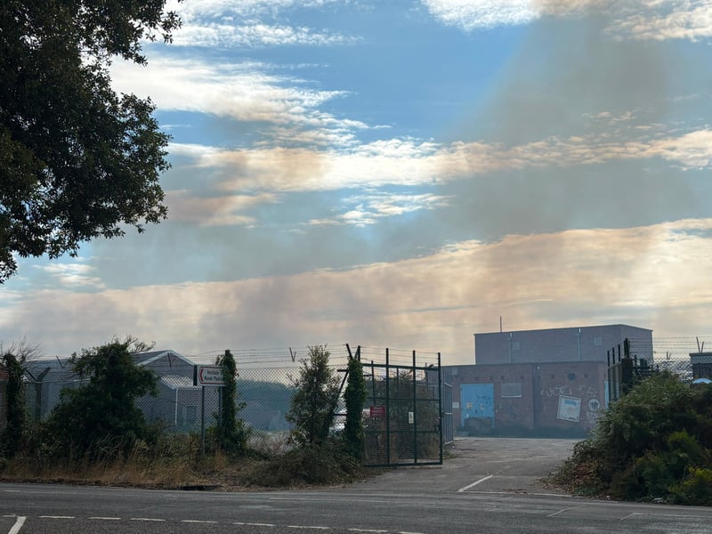 Pictures showing smoke from one of the Stokes Bay fires on the afternoon of August 25. Fire crews are extinguishing the flames, with the service informing police about the suspected arson.