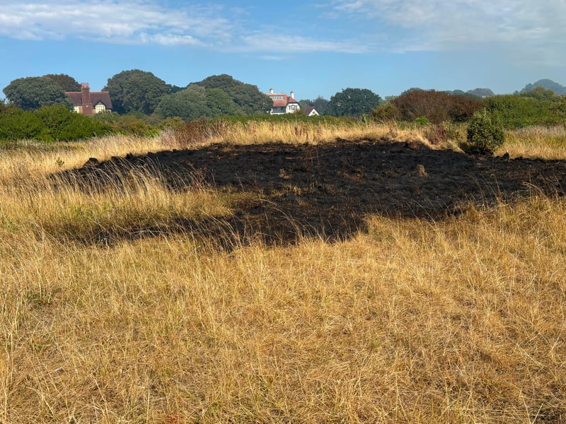 Pictures showing the aftermath of one of the Stokes Bay fires on the afternoon of August 25. Fire crews are extinguishing the flames, with the service informing police about the suspected arson.