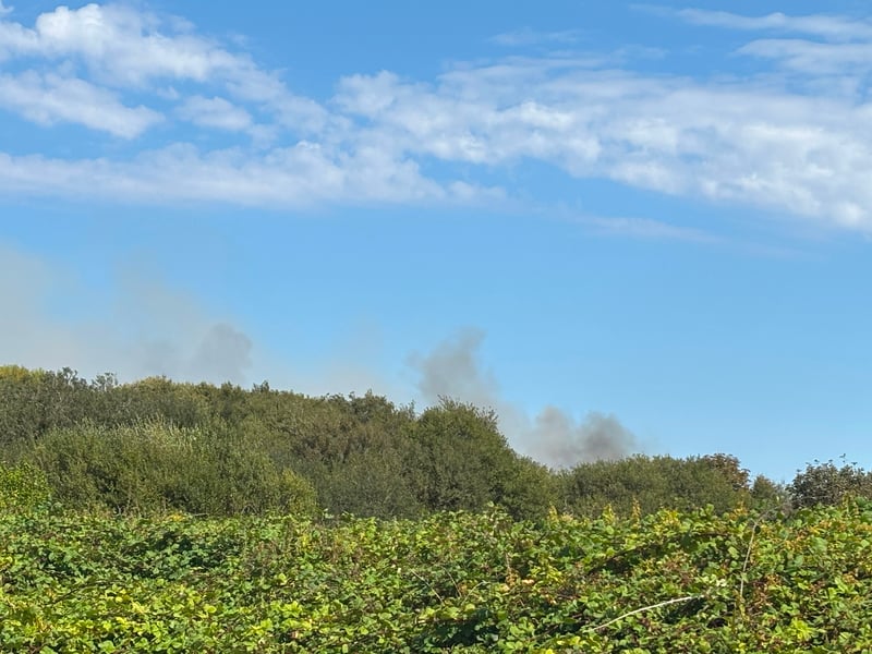 Pictures showing smoke from one of the Stokes Bay fires on the afternoon of August 25. Fire crews are extinguishing the flames, with the service informing police about the suspected arson.