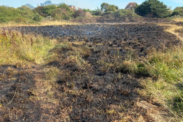 Pictures showing the aftermath of one of the Stokes Bay fires on the afternoon of August 25. Fire crews are extinguishing the flames, with the service informing police about the suspected arson.