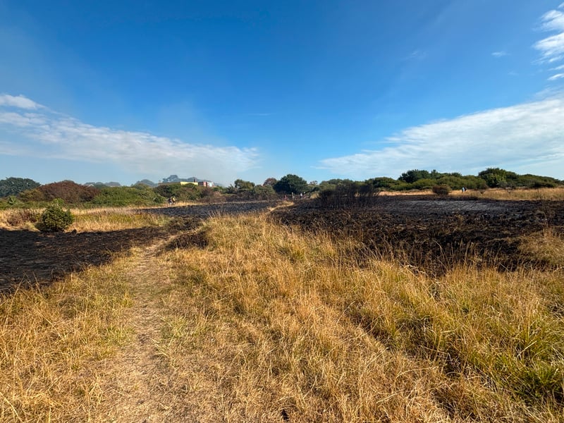 Pictures showing the aftermath of one of the Stokes Bay fires on the afternoon of August 25. Fire crews are extinguishing the flames, with the service informing police about the suspected arson.