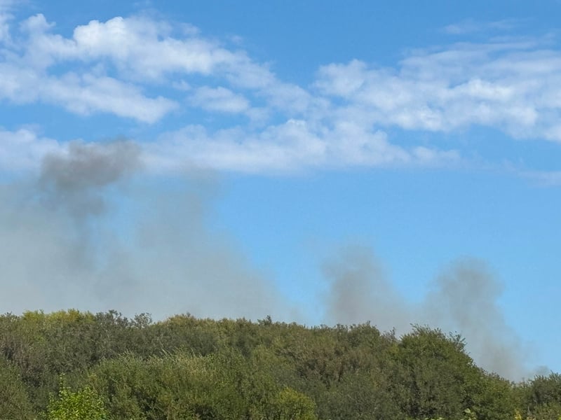 Pictures showing smoke from one of the Stokes Bay fires on the afternoon of August 25. Fire crews are extinguishing the flames, with the service informing police about the suspected arson.