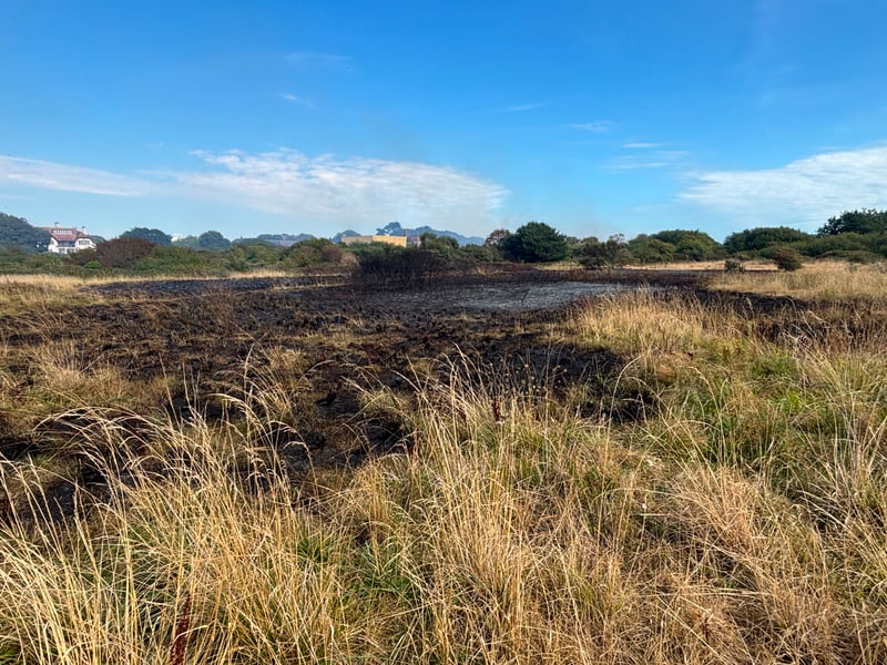 Pictures showing the aftermath of one of the Stokes Bay fires on the afternoon of August 25. Fire crews are extinguishing the flames, with the service informing police about the suspected arson.