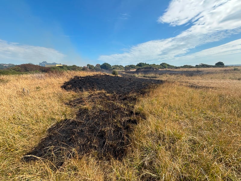 Pictures showing the aftermath of one of the Stokes Bay fires on the afternoon of August 25. Fire crews are extinguishing the flames, with the service informing police about the suspected arson.