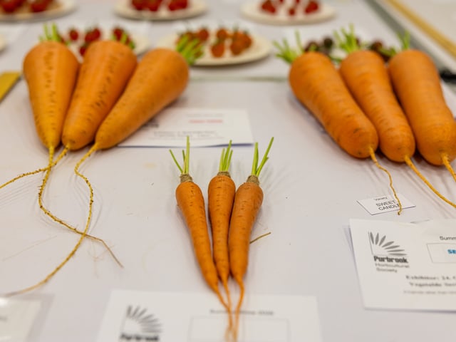 Carrots at the Purbrook Horticultural Society Annual Summer Show Picture: Marcin Jedrysiak