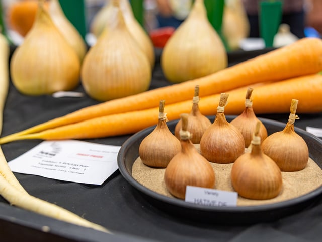 Purbrook Horticultural Society Annual Summer Show 