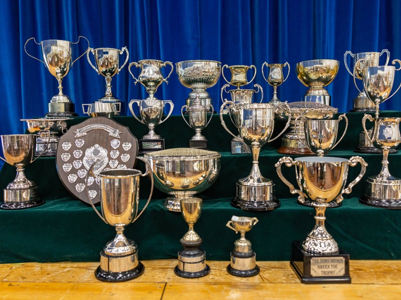 The trophies at Purbrook Horticultural Society Annual Summer Show Picture: Marcin Jedrysiak