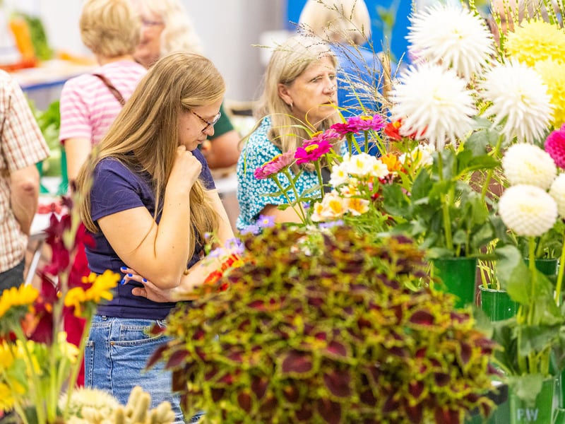 Visitors examine the entries at Purbrook Horticultural Society Annual Summer Show Picture: Marcin Jedrysiak