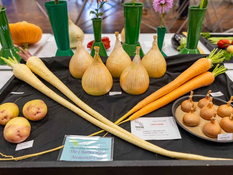 An entry of carrots, parsnips, onions and potatoes Picture: Marcin Jedrysiak
