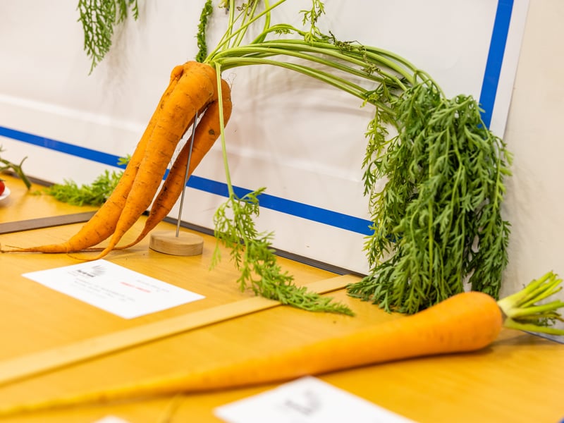 Purbrook Horticultural Society Annual Summer Show Picture: Marcin Jedrysiak