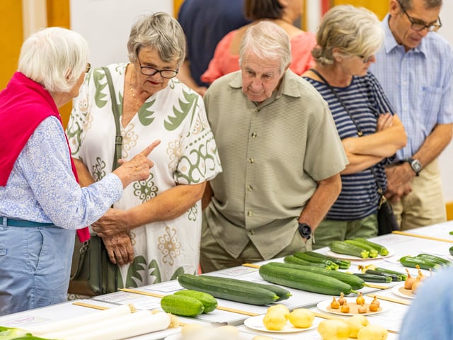 Cucumbers and courgettes at Purbrook Horticultural Society Annual Summer Show Picture: Marcin Jedrysiak