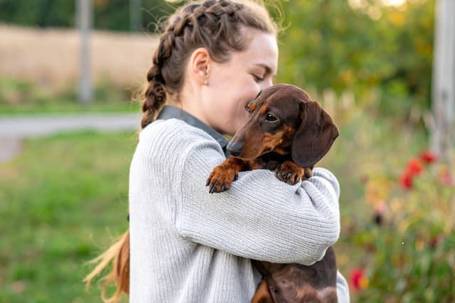 Some breeds of dog are well known for thier high levels of affection.