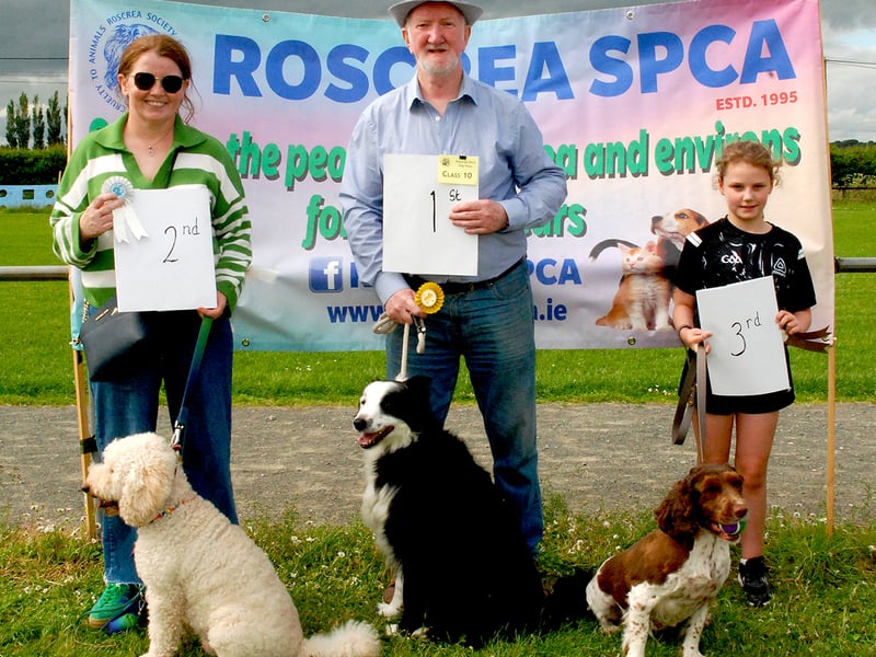 Class 10 - 1st - Dave Curtain & Louie  2nd - Aine Fogarty & Doogie  3rd - Holly Oxley & Poppy(Photo PJ Wright)