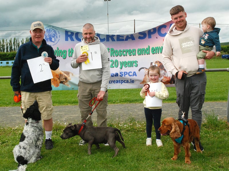 Class 8 - 1st - Jack Mulvy & Turbo  2nd - Richard Kearns & Belle  3rd - Eamon Hogan & Charlie (Photo PJ Wright)