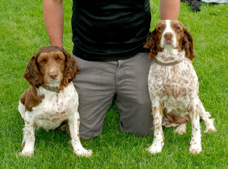 John Oxley with Poppy & Jerry