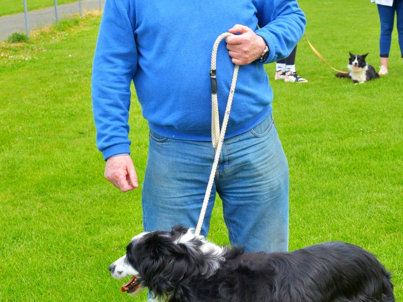 Dave Curtain and Louie (Photo Seamus Costello)