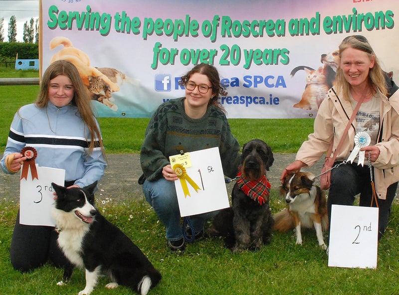 Class 5 - 1st - Muireann O'Toole & Lola  2nd - Ciara Maxwell & Dolly  3rd - Fe O Connor & Lola (Photo PJ Wright)