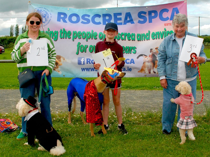 Class 9 - 1st - Abigail Morrisey & Barry  2nd - Aine Fogarty & Doogle  3rd - Marie O Meara & Nell(Photo PJ Wright)